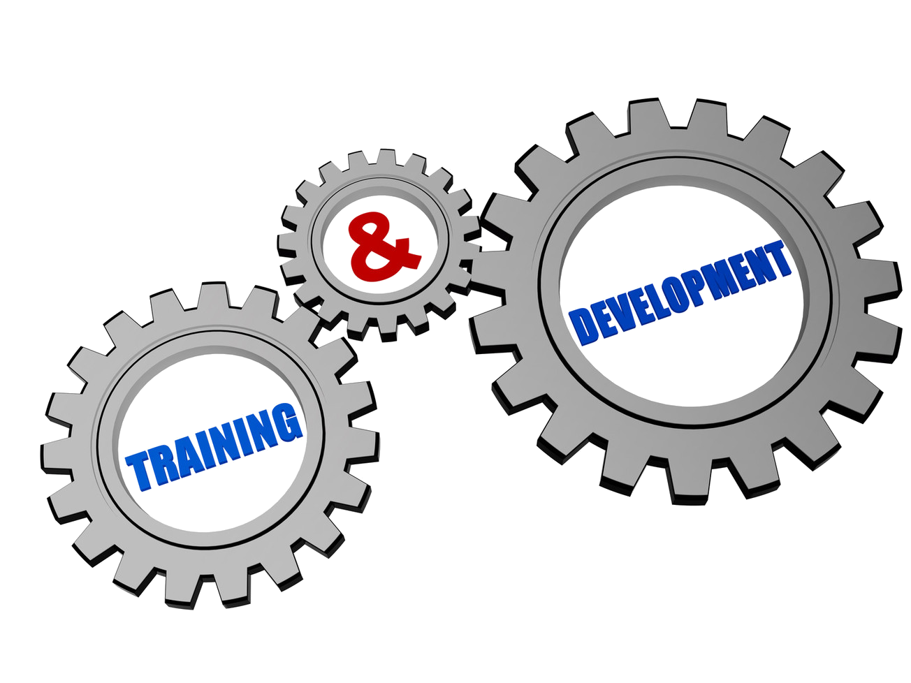 Training & Development